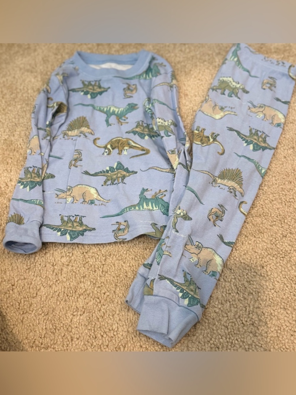 Carter's Light Blue Dinosaur Pajama Set